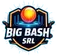 Big Bash SRL Logo